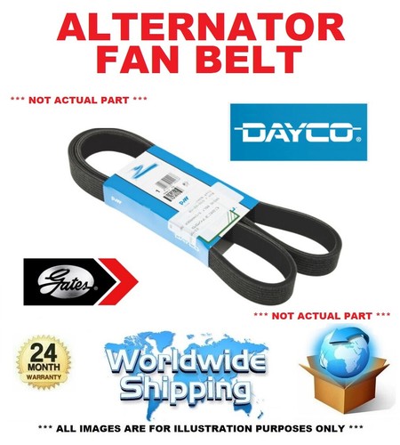 Alternator fan belt ribbed - fan,
