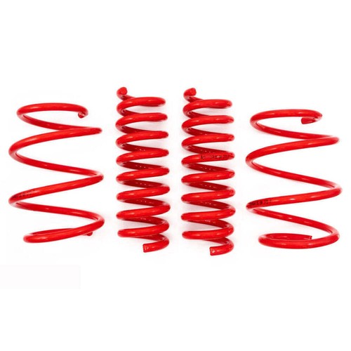 Maxx lowering springs - lowering, for