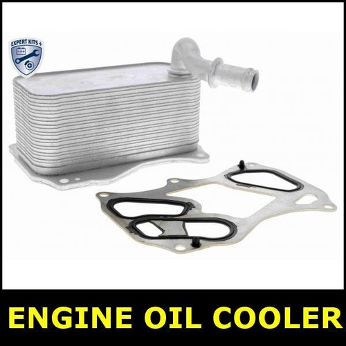 Engine oil cooler - engine, mercedes