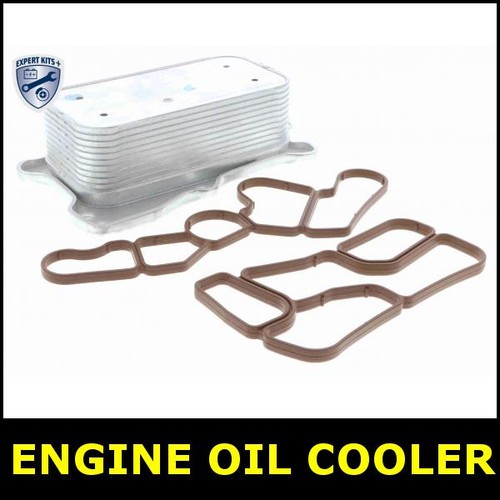 Engine oil cooler - oil, for